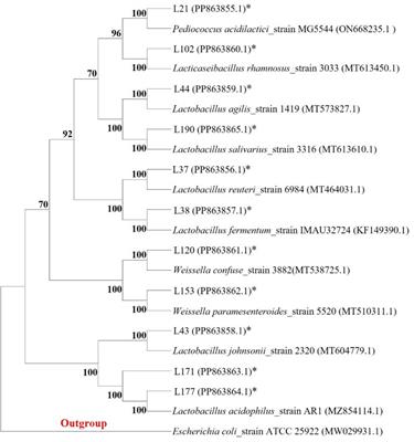 Multi-functional properties of lactic acid bacteria strains derived from canine feces